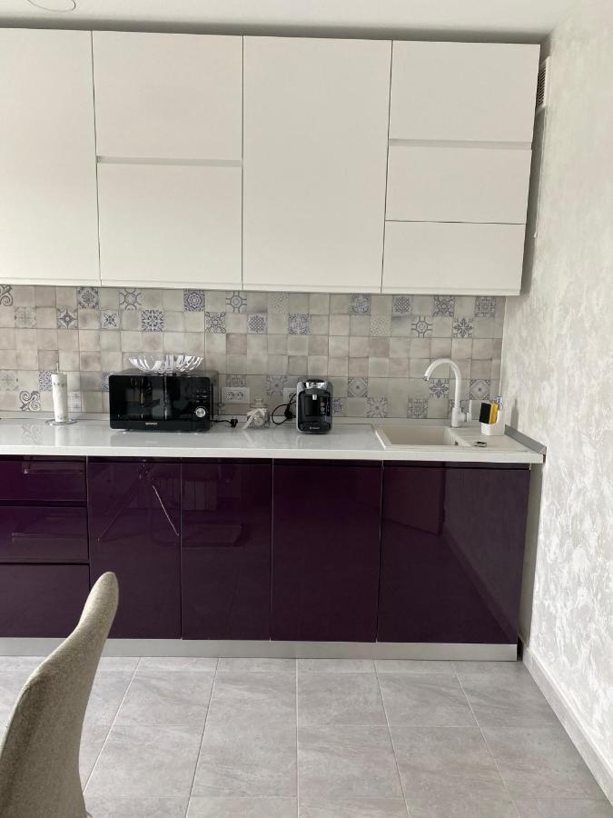 Dina Lux Iasi Apartment Extérieur photo